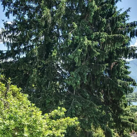 Yellow View By Halldis Daire